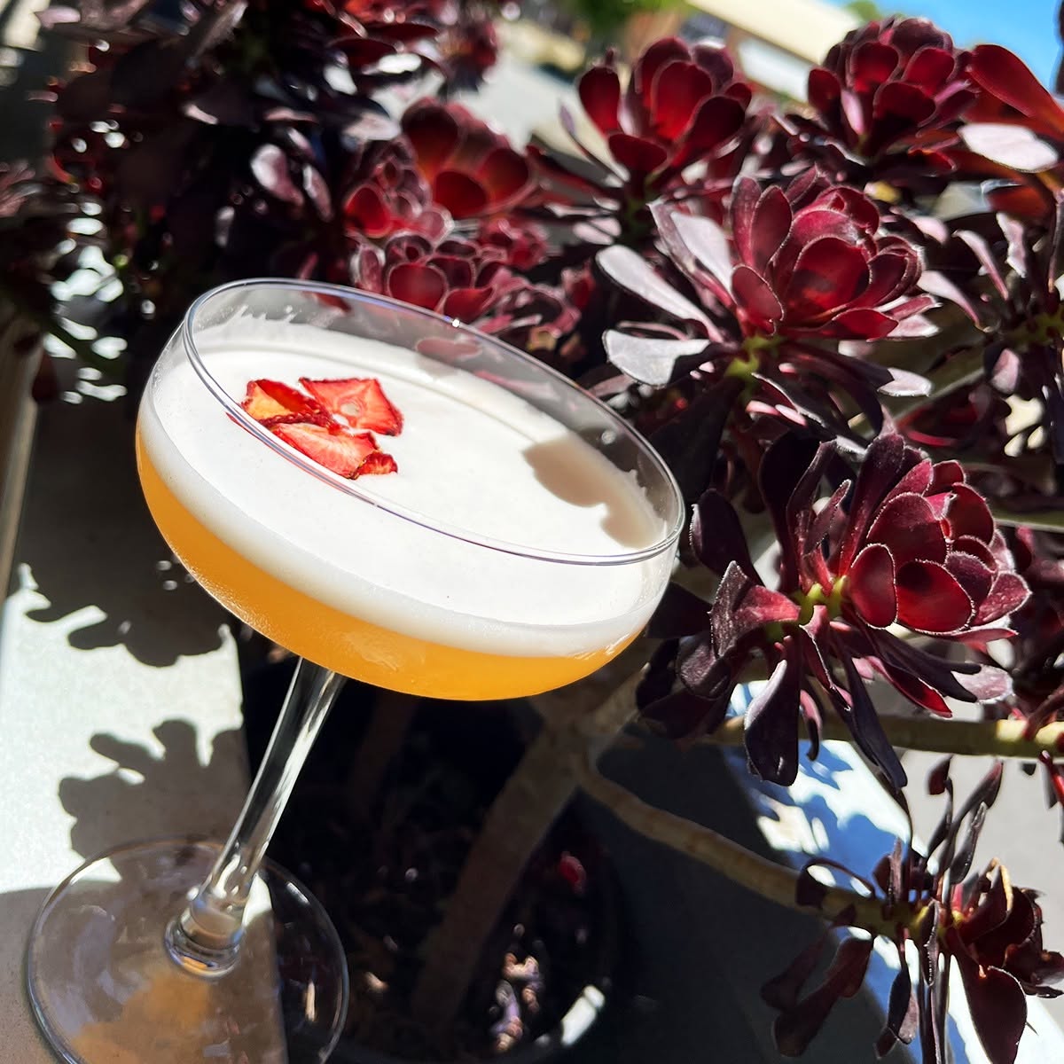 A cocktail topped with strawberries in the sunshine